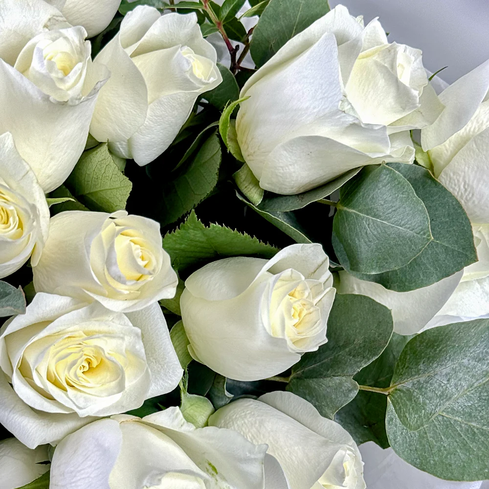 Букет из 35 белых роз премиум