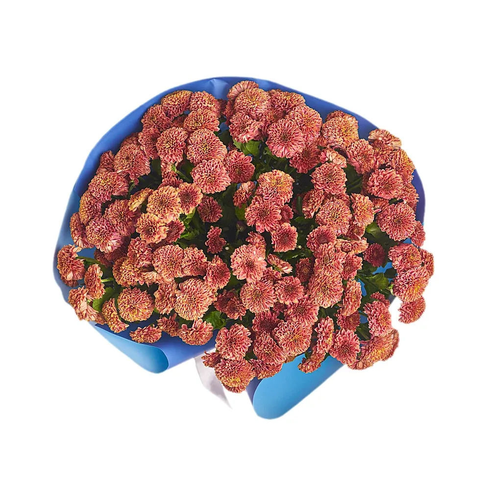 Букет из 25 оранжевых хризантем Сантини