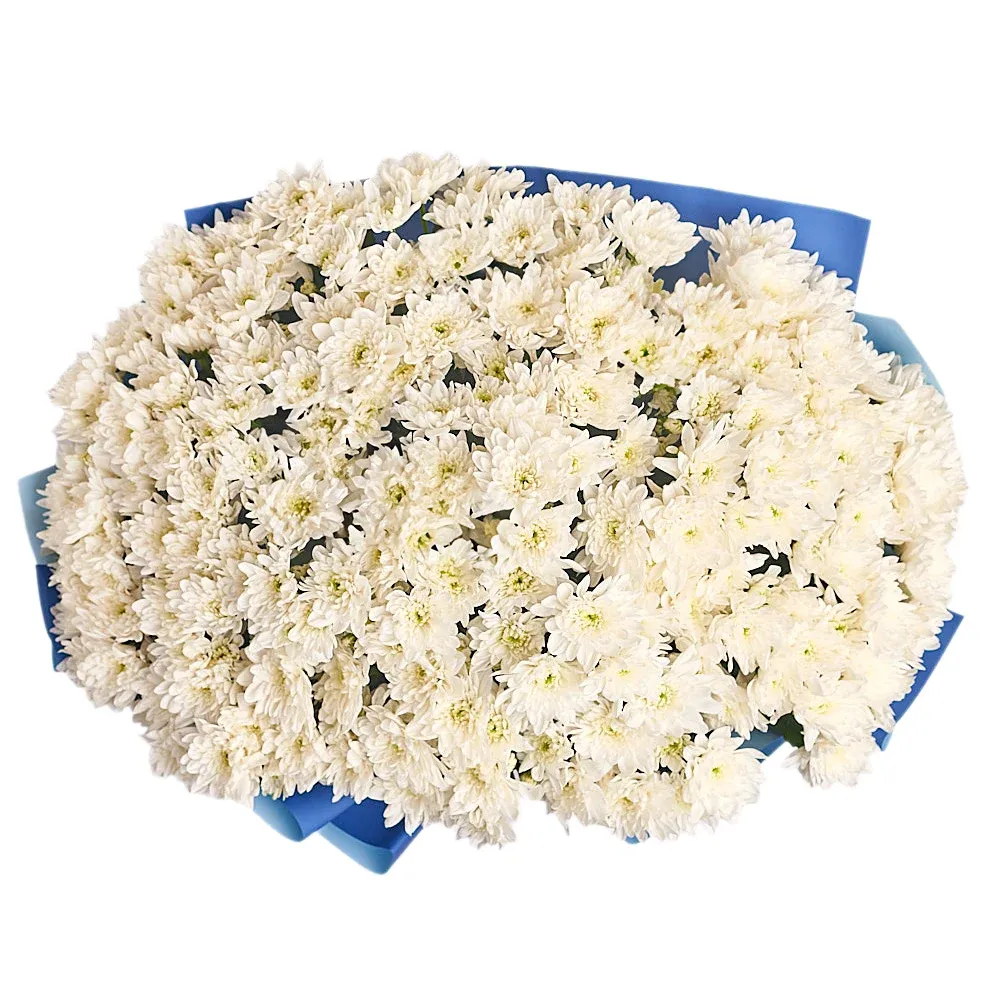 Букет из 29 белых хризантем