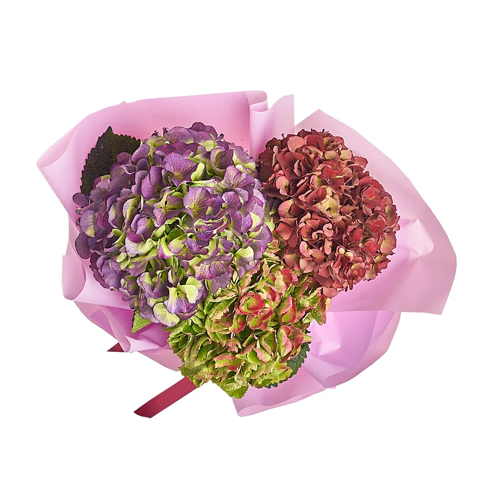 Букет из 3 гортензий микс