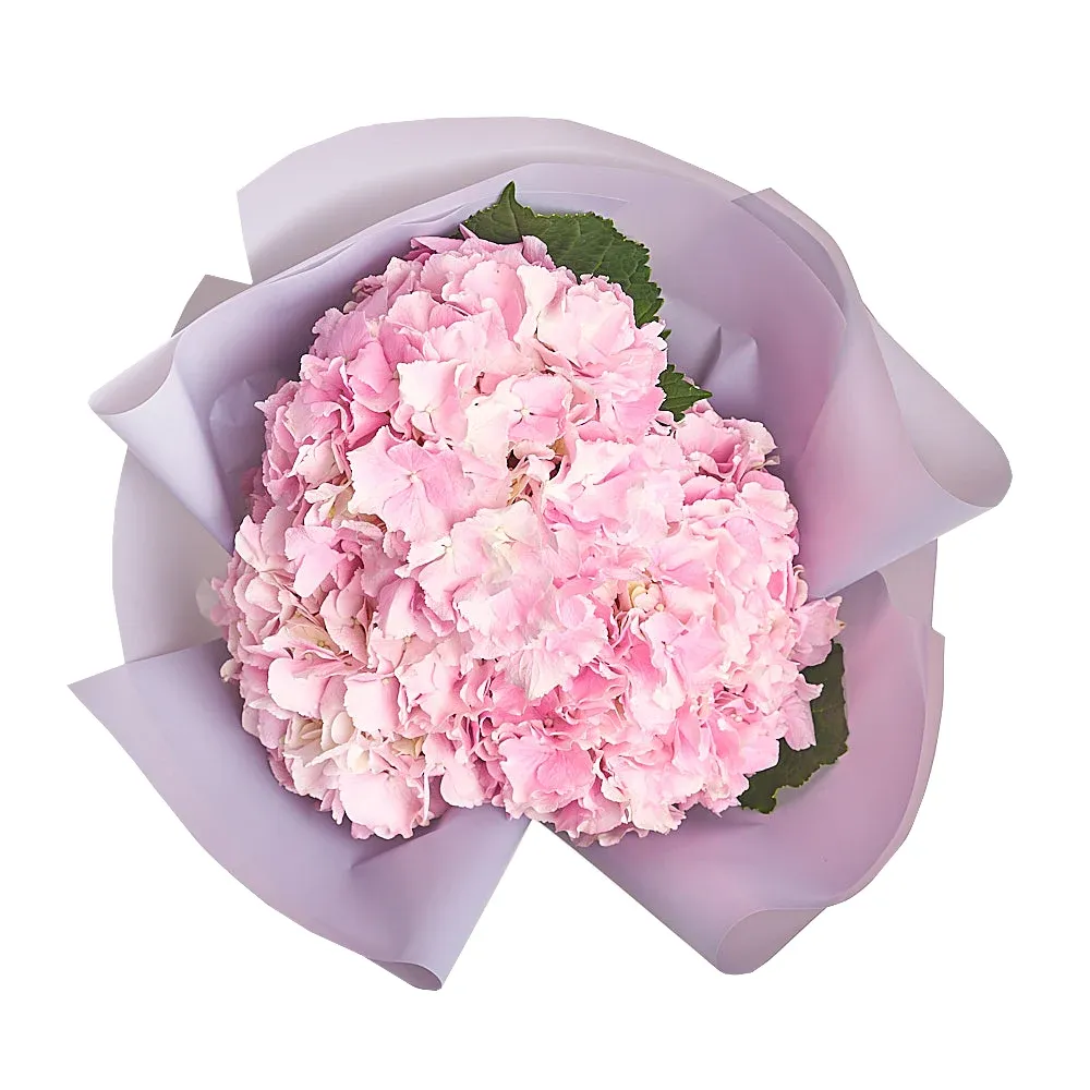 Букет из 3 розовых гортензий