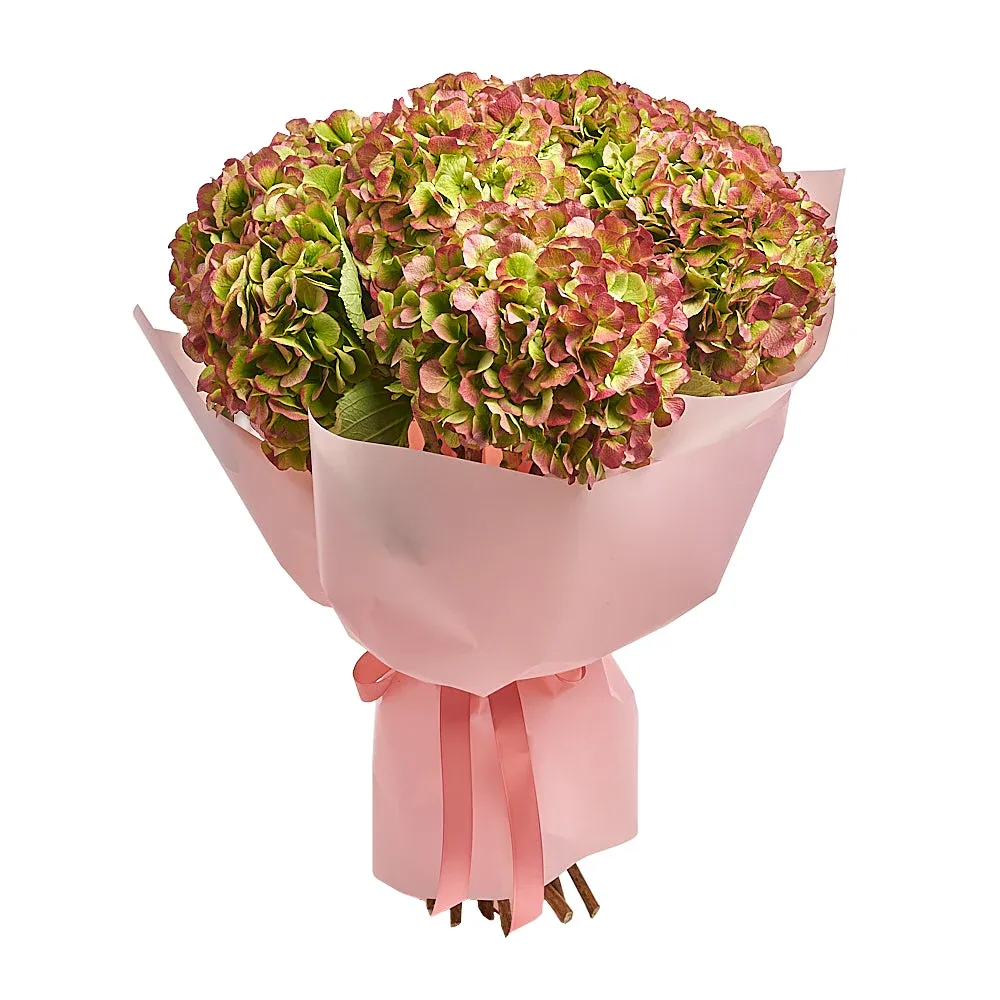 Моно-букет из 9 гортензий